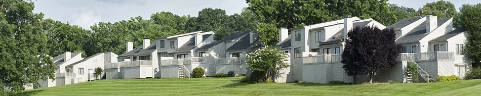 Shaker Lane I